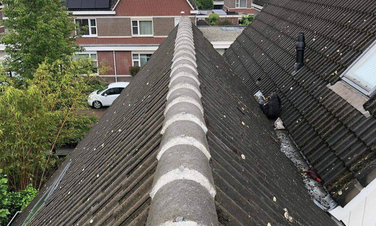 Nokvorsten Beverwijk
